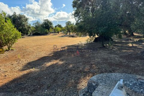 Landejendom i Ostuni, Brindisi, Ostuni - € 70.000 | Ref: 172708 - foto 18